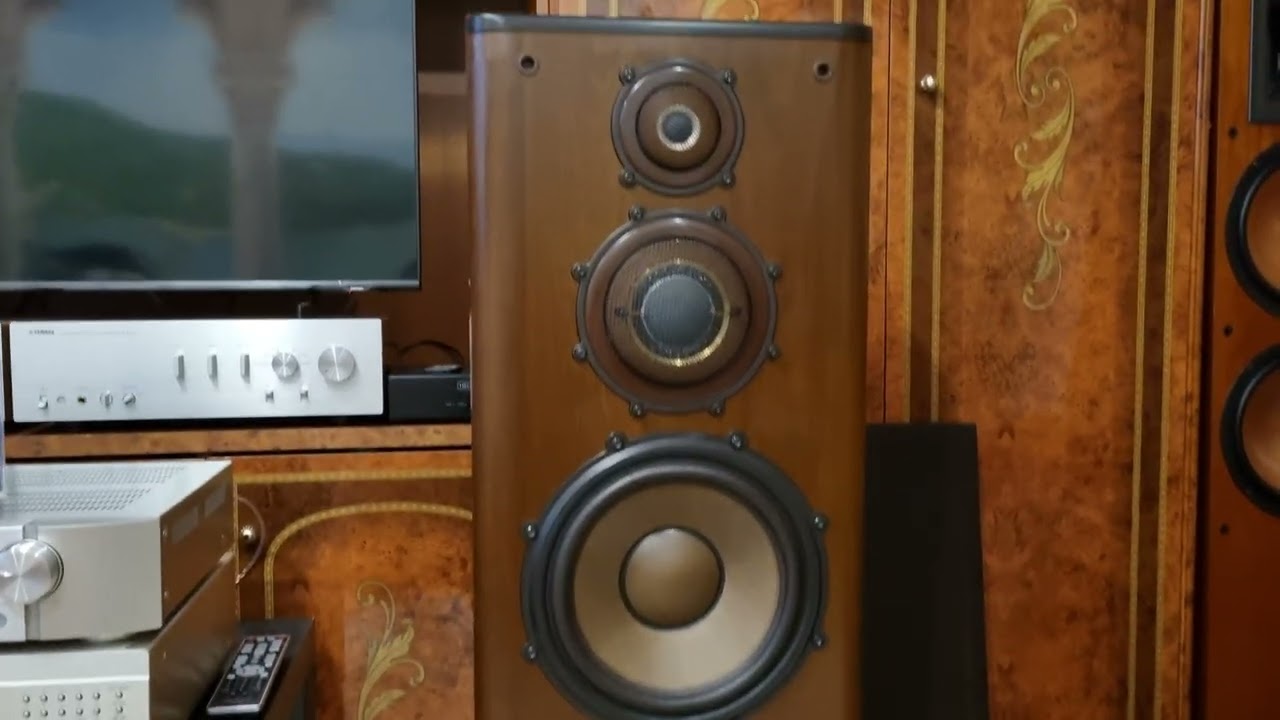 Diatone ds-1000zx (L'Arc En Ciel)