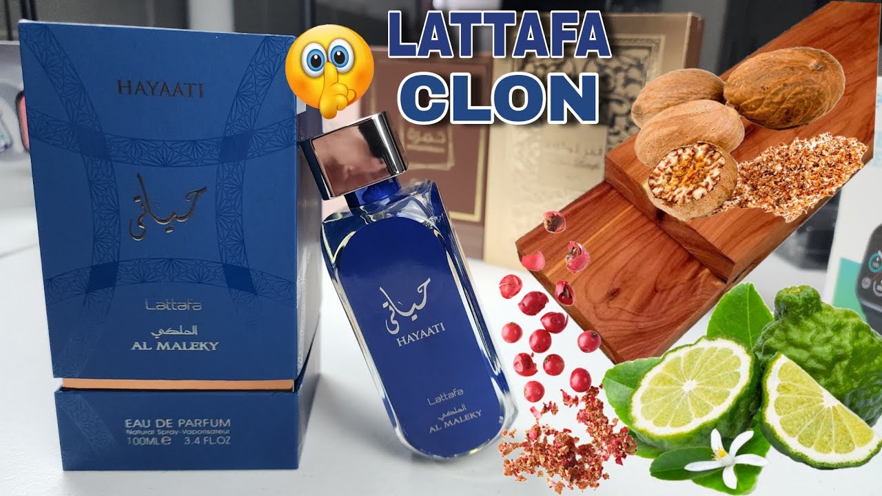 Hayaati Al Maleky  - DEBES TENERLA YA! 👌