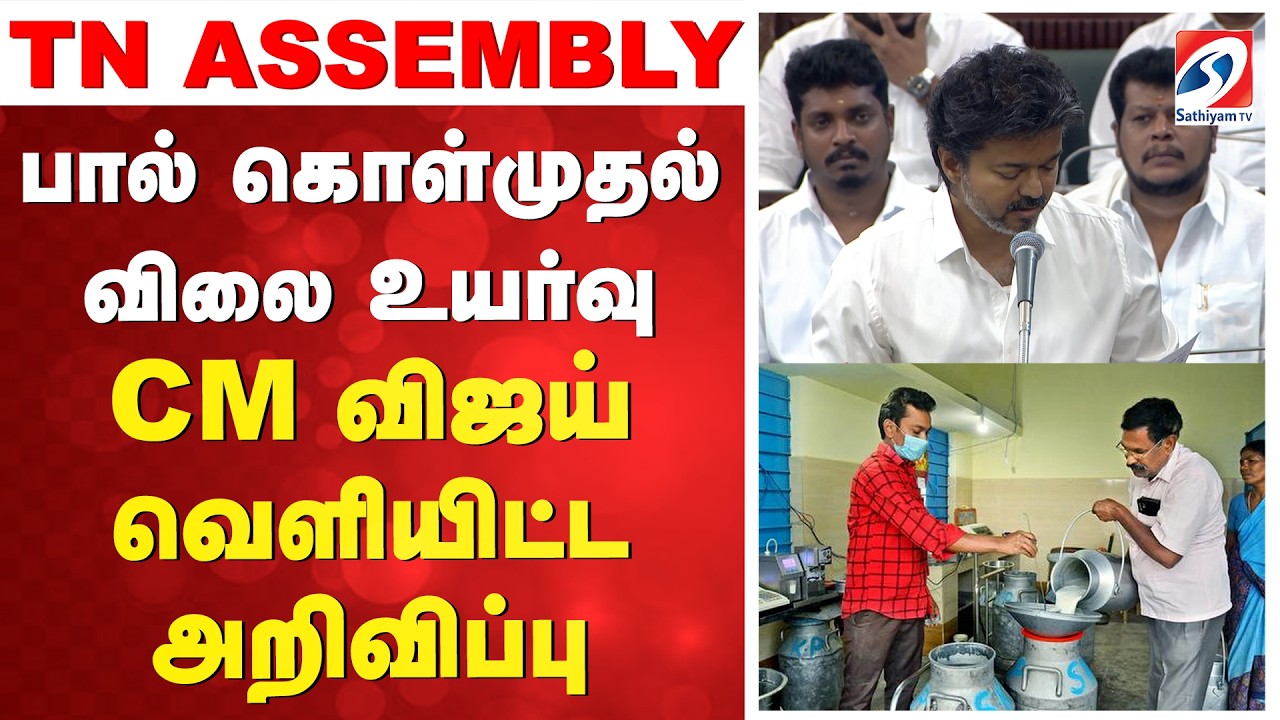 பால் கொள்முதல் விலை உயர்வு - CM விஜய் வெளியிட்ட அறிவிப்பு