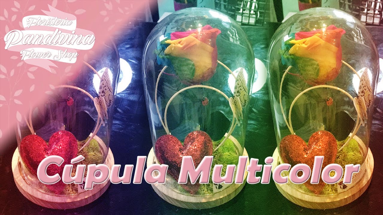 #DIY - Cómo hacer Cúpula con Rosa Preservada Multicolor - Pandivina FlowerShop