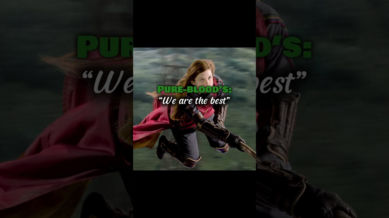 The half-blood&rsquo;s and muggle-borns #harrypotter