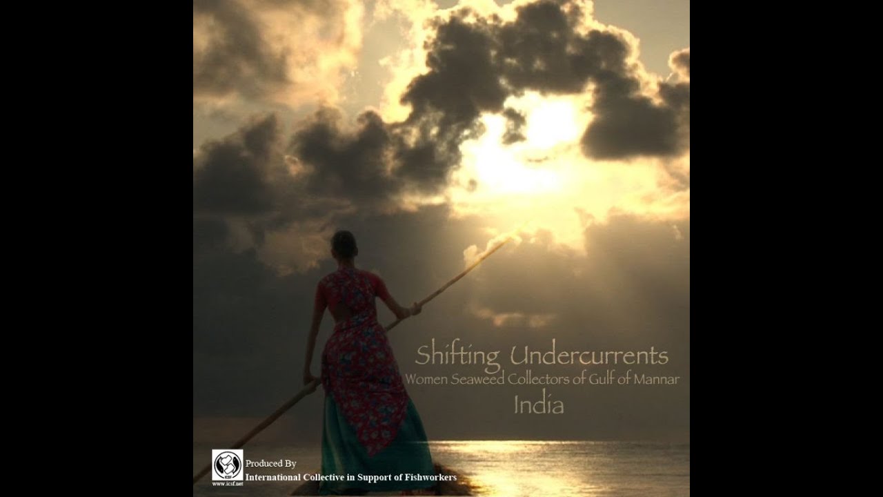 Shifting Undercurrents: Women seaweed collectors of Gulf of Mannar, India