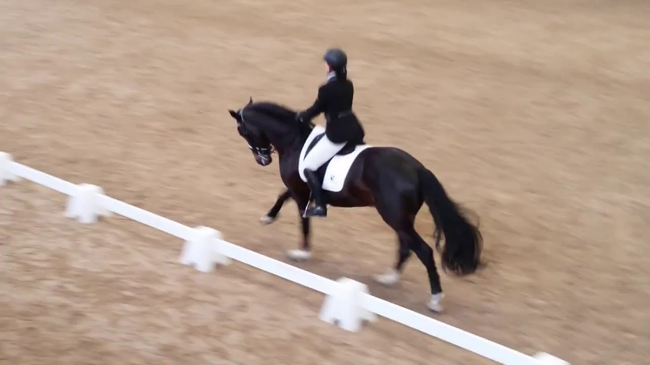 Reprise Dressage Amateur 3 préliminaire (D2)