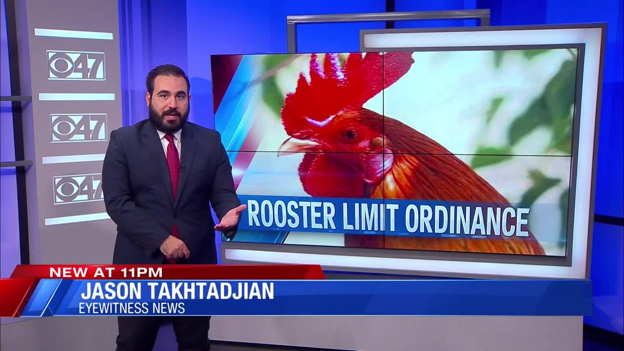 'Targets our religion': Hmong community concerned over Fresno County rooster ordinance