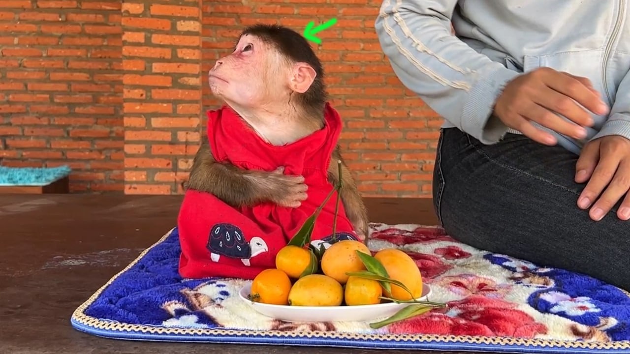 Mrr John Not Satisfied With The Fruit Mom Given Coz He Is Not Like It