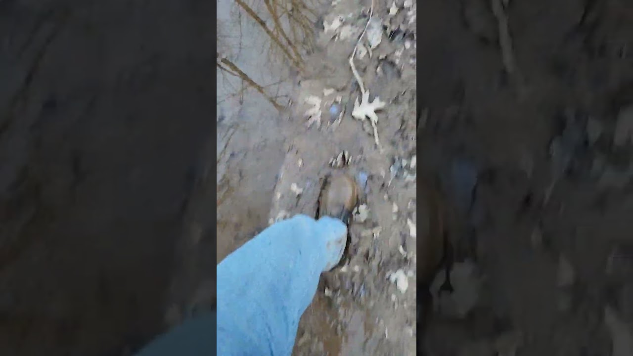 asics in the mud