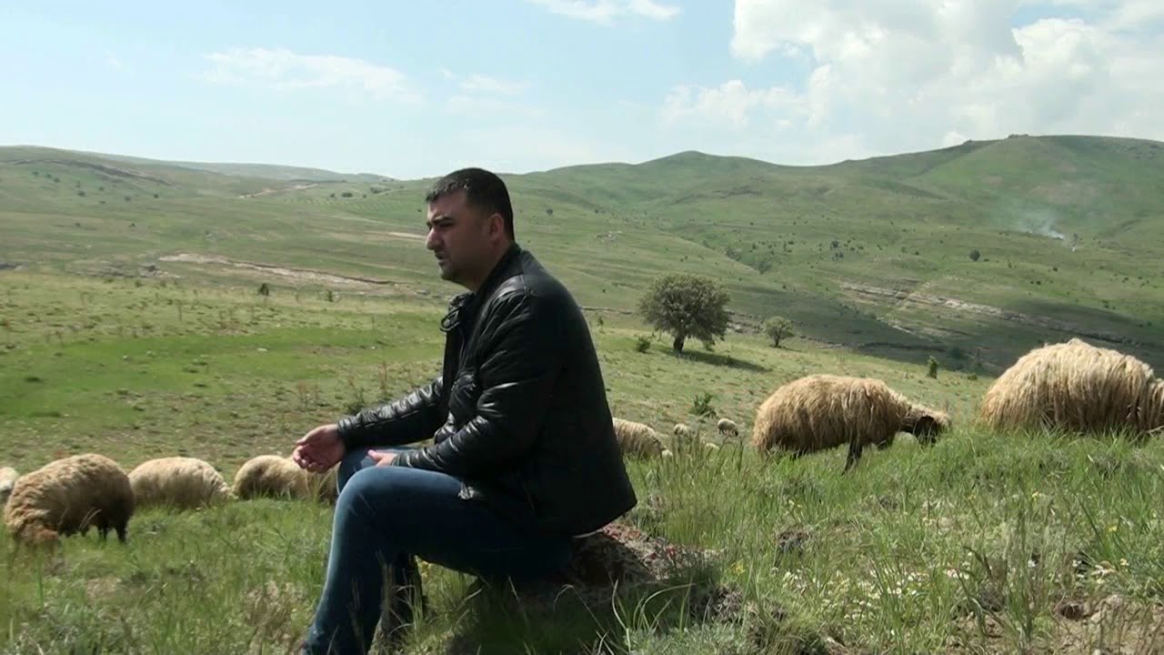 Cengiz Aslan_Arimazın Sare Yaylana