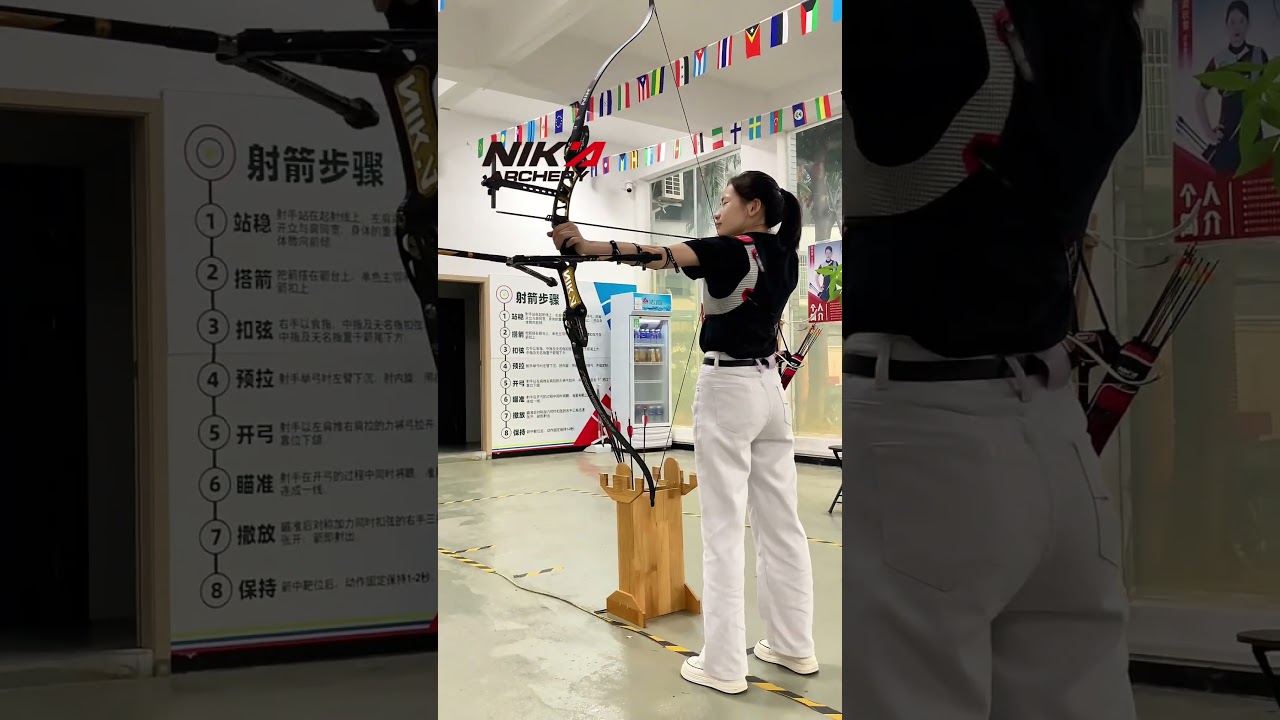 Nika archery C1 carbon limbs for archers 