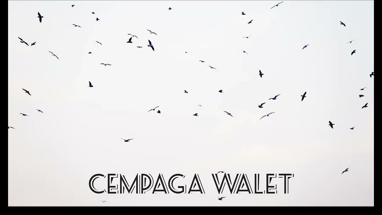 Suara panggil kombinasi anakan indukan walet terbaru 2025/2026