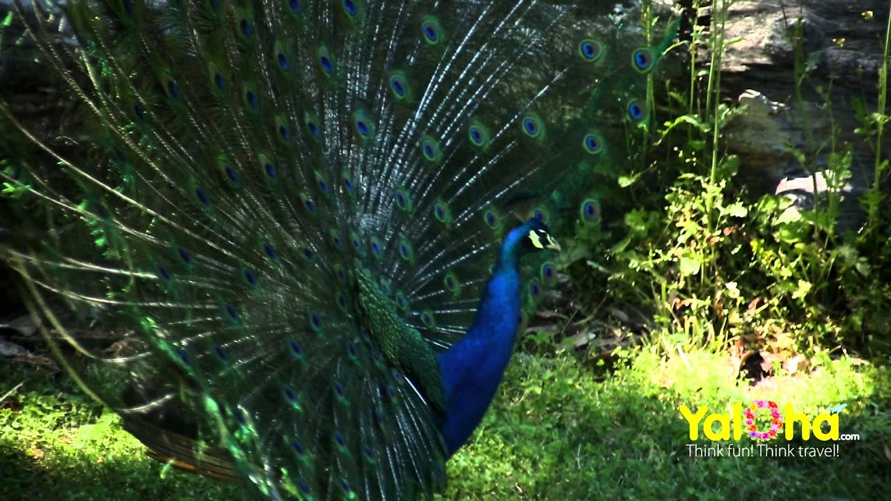 Virginia Zoo in Norfolk Virginia
