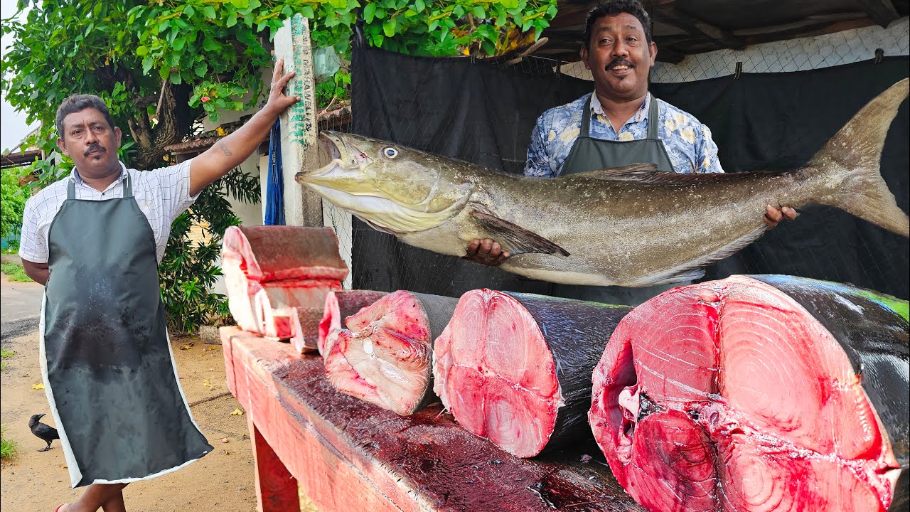 Nice!! Beast Villages Super Fishmarket Excellent Fish Cutting Skills