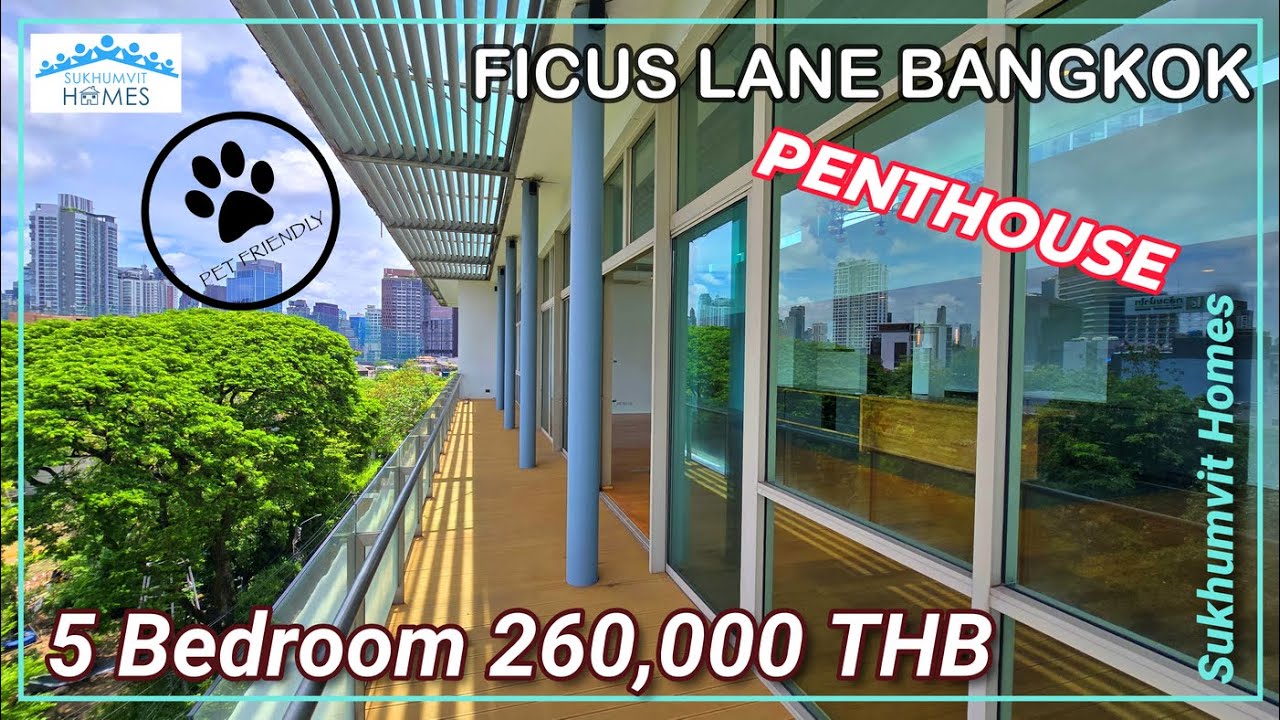 Pet Friendly Penthouse 5 Bedroom For Rent Phra Khanong Ficus Lane 260,000 THB Monthly