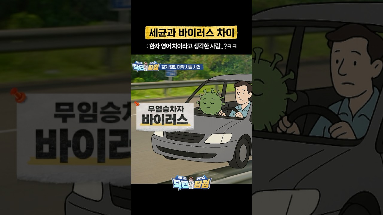 세균과 바이러스 차이점 이거보면 못 잊음🦠