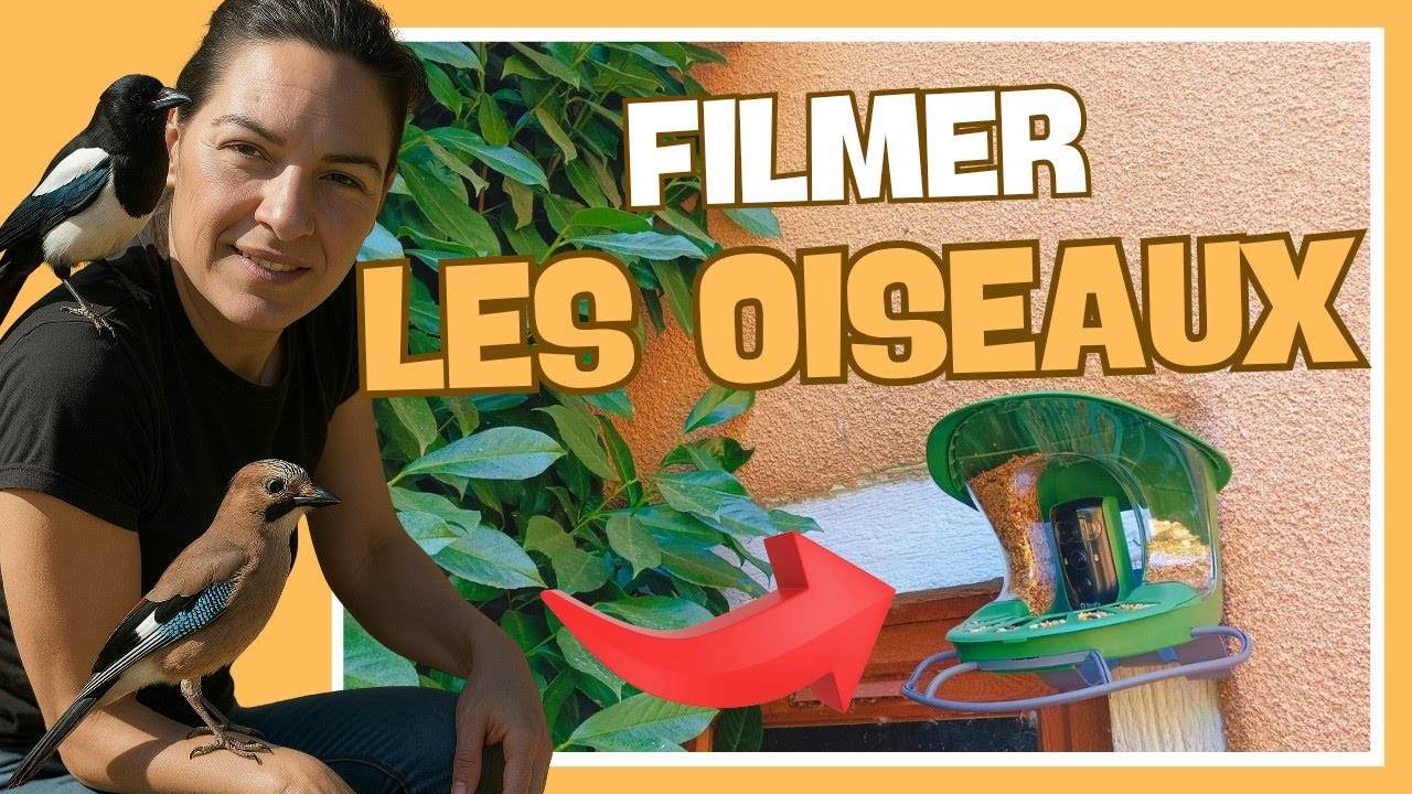 🐦 Observer et filmer les oiseaux du jardin 📸 Birdfy Feeder 2 Duo