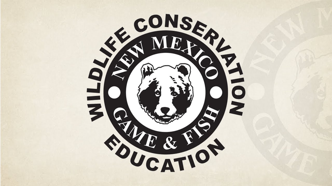 Net Gun Use in Wildlife Management