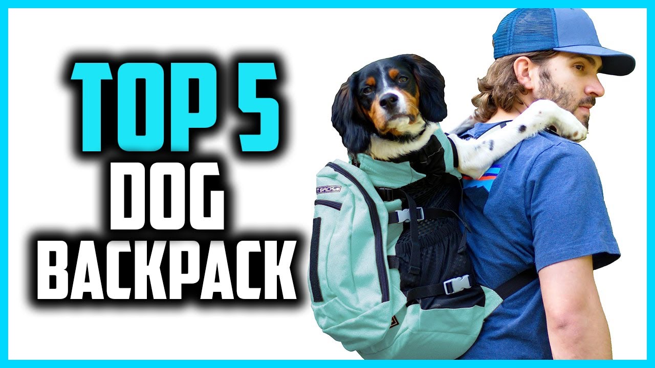 ✅Best Dog Backpack Carriers in 2024