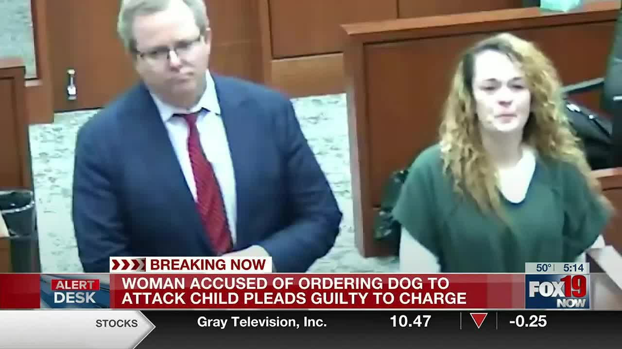 Woman accused of ordering dog to attack child pleads guilty in Warren County
