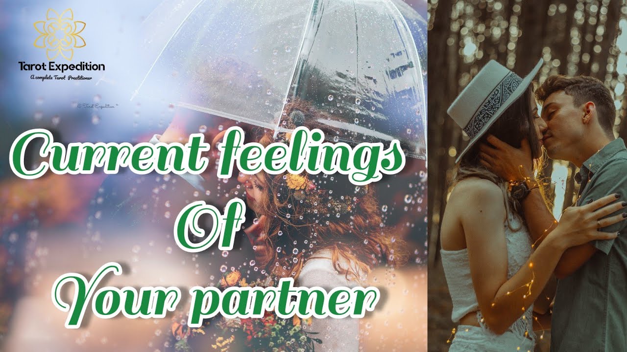 CURRENT FEELINGS|| എന്താണ് നിങ്ങളുടെ PARTNER - ക്ക് നിങ്ങളോട് പറയാൻ ഉള്ളത്?|| TIMELESS READING