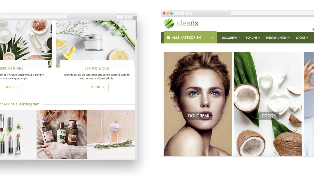 CLEARIX JTL Shop Template