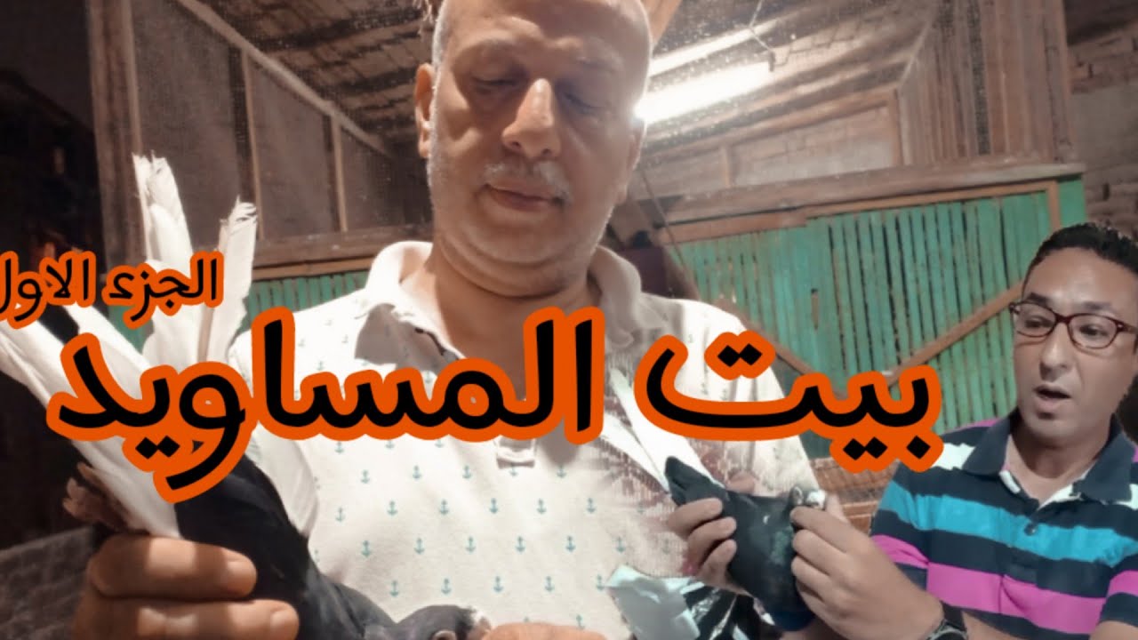 بيت المساويد و المواصفات القياسية من على سطح ا/عبد الحميد فؤاد#لوفت_عمرو_اشرف
