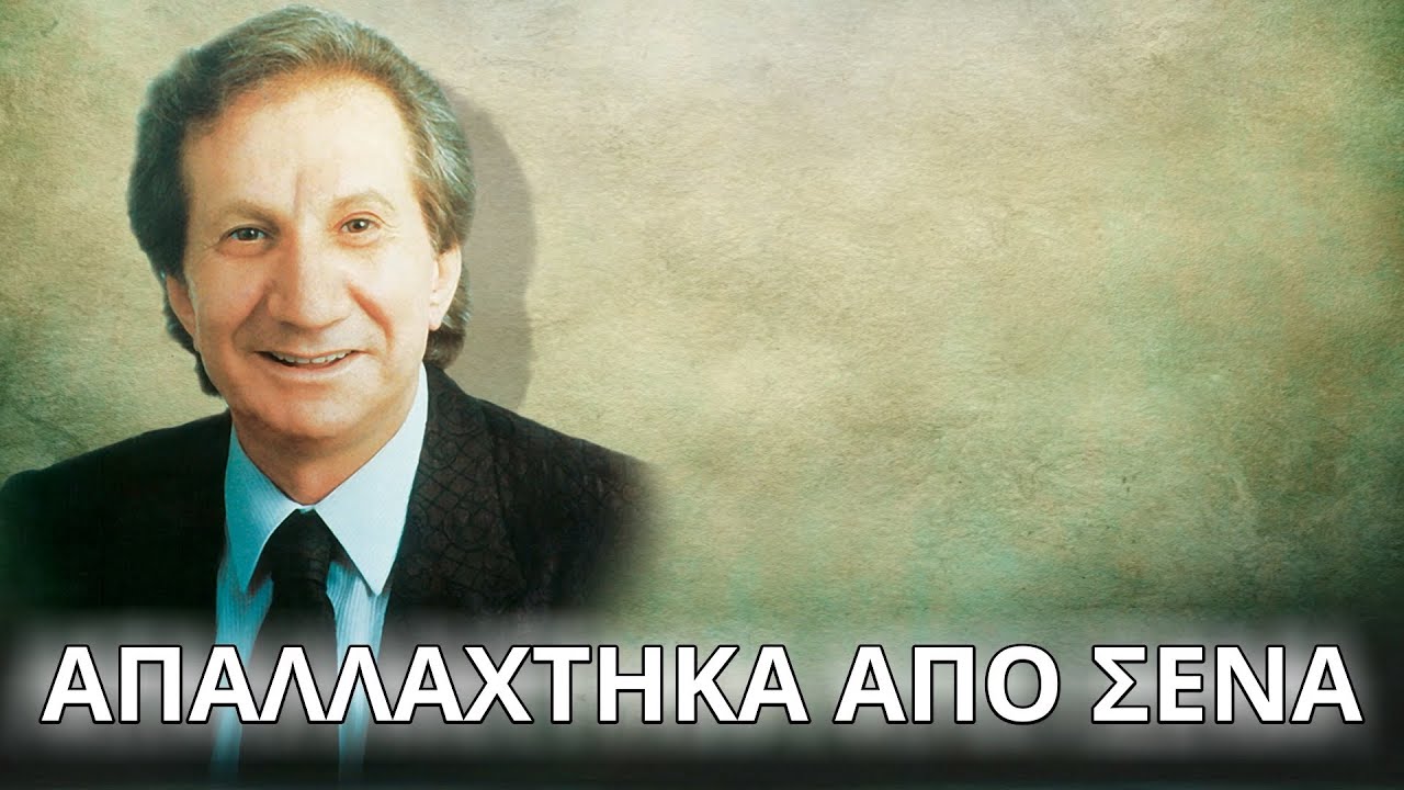Μιχάλης Μενιδιάτης - Απαλλάχτηκα από σένα (Στίχοι - Lyrics) | Greek Lyric Videos