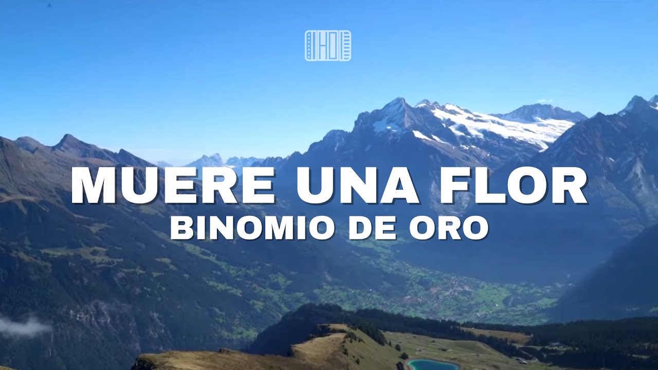 Muere una flor - Binomio de oro - Vallenato instrumental