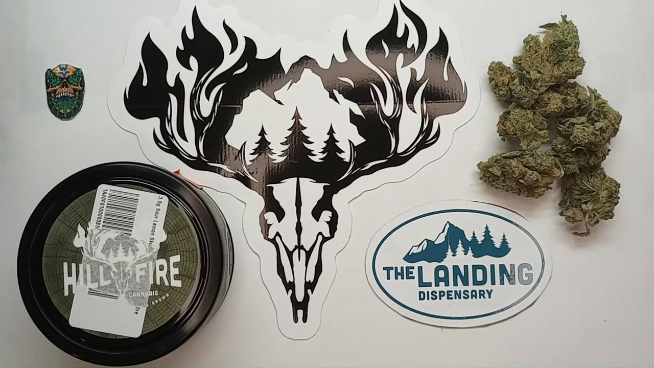 Hillfire Sour Lemon Skunk Flower Review