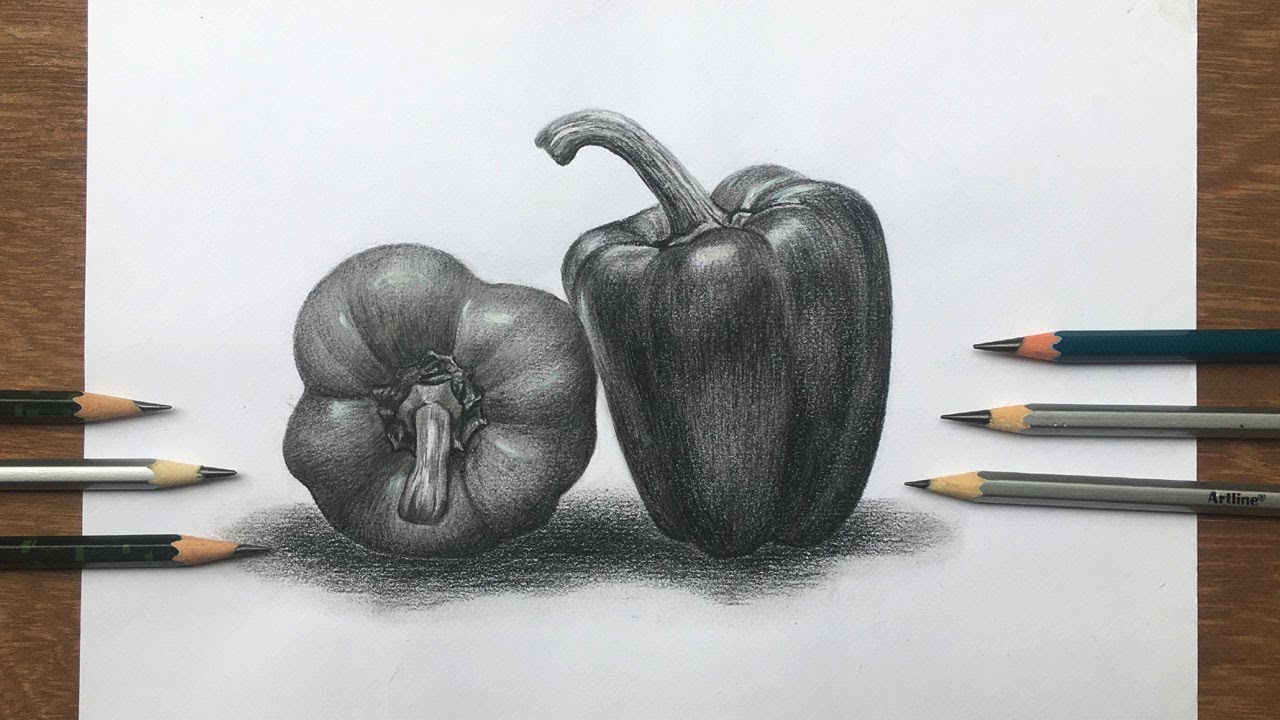 How to draw and shade a capsicum | bell pepper drawing | pencil sketch step by step