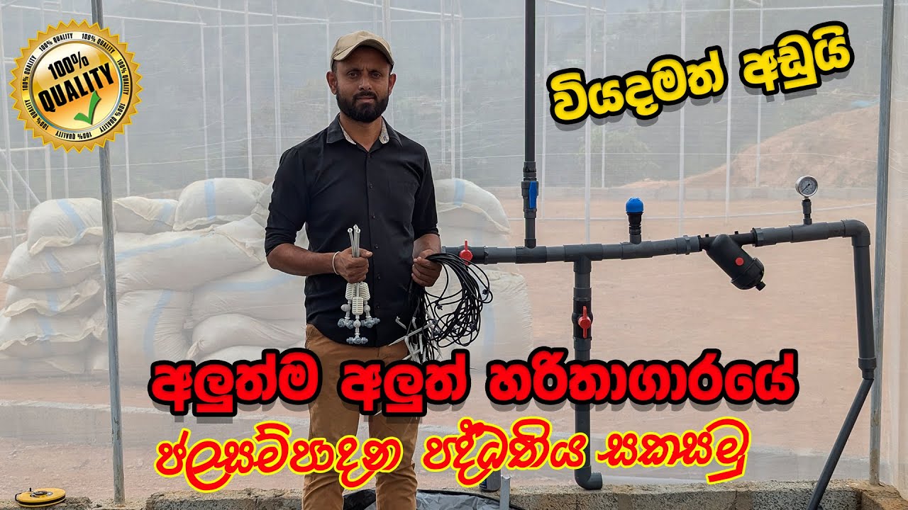අඩු වියදමකින් හරිතාගාරයක ජලසම්පාධන පද්ධතිය සකසමු | greenhouse irrigation system at low cost