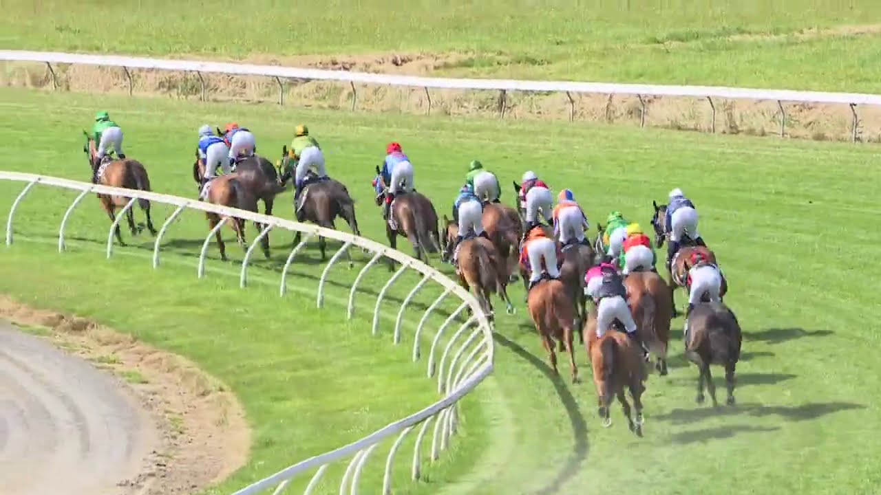 Dunedin Gold Cup 2026 - NOBLE KNIGHT (Hcp LR) Listed Wingatui NZ 28 February