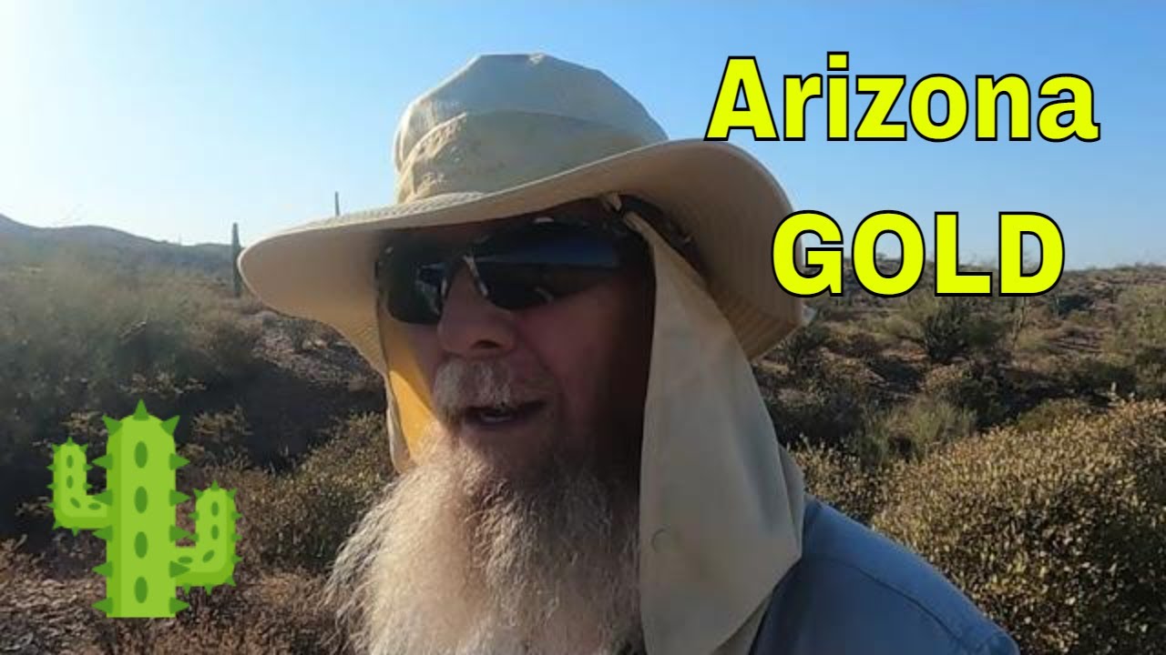 Arizona GOLD Nugget Hunting, Cacti, and The GPX 6000