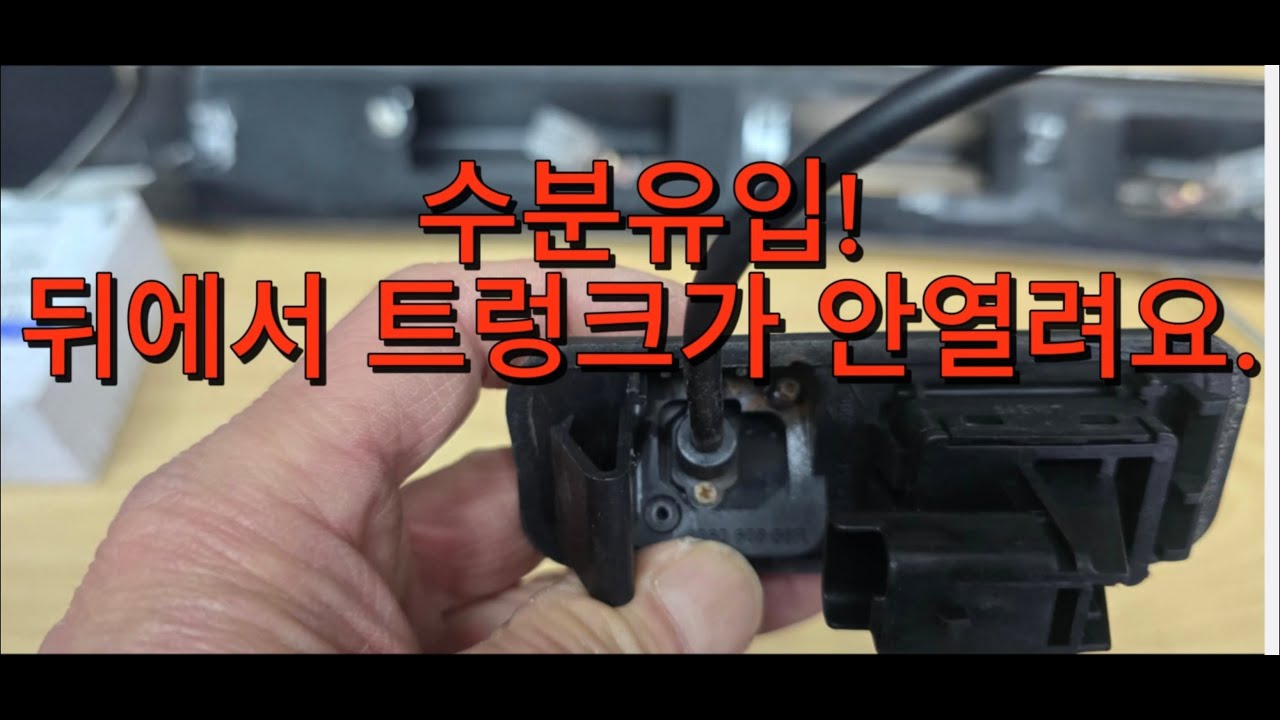 르노삼성SM3전기차#트렁크#트렁크리드스위치#수분유입#후방카메라볼트부식#흔하지않은전기차#car#plants