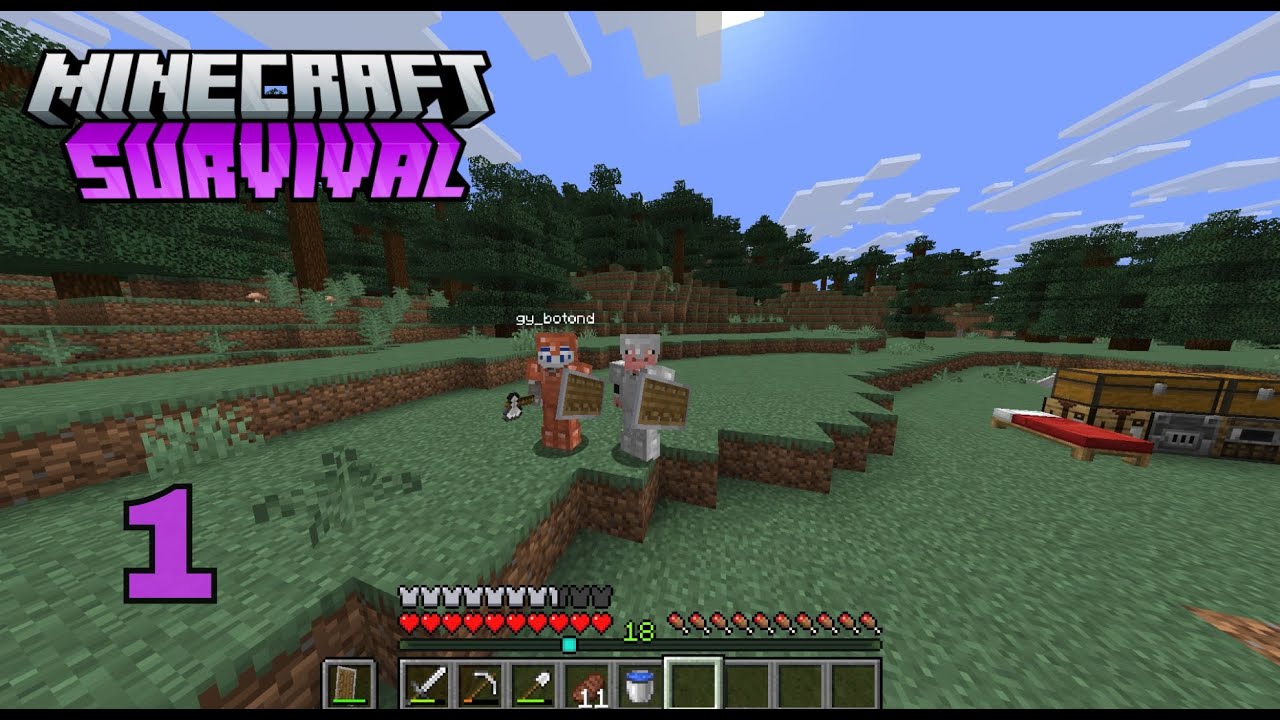 Kezdetek |Minecraft Survival 1#|