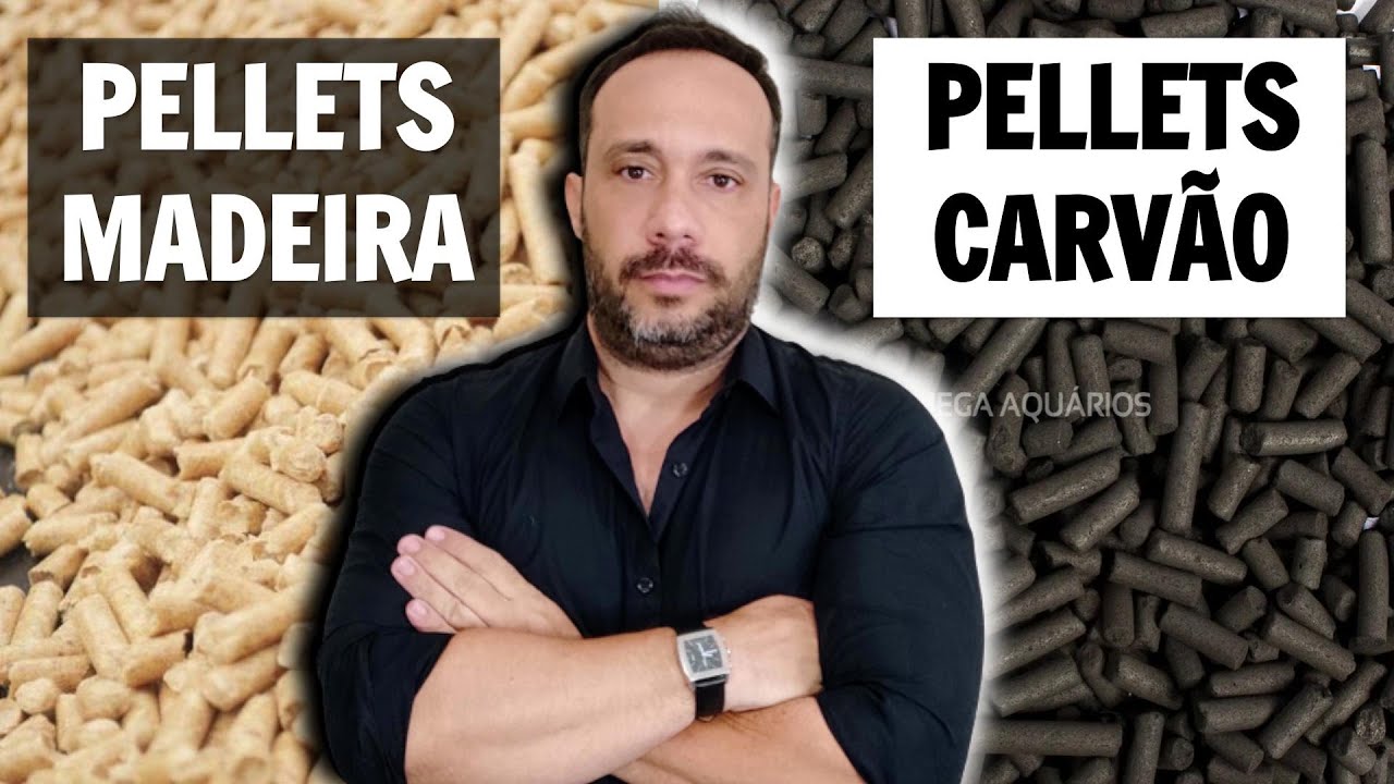 Pellets de Carvão Vegetal VS Pellets de Madeira: Quem Ganha? | Academia do Carvão | Daniel Barcellos