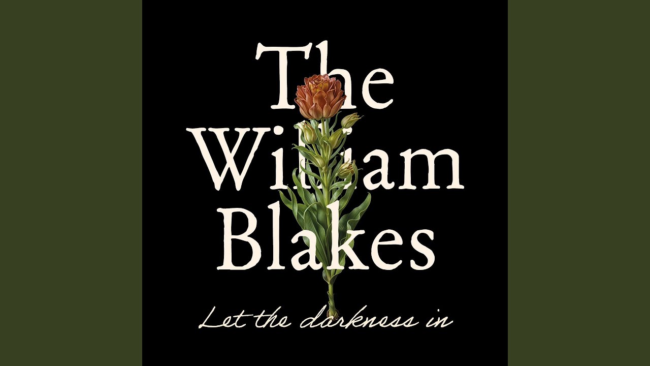 Let the darkness in