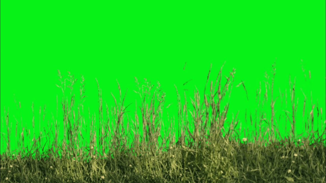 Top 12 Grass green screen animations effects HD footage | chroma key grass effects | by Crazy Editor