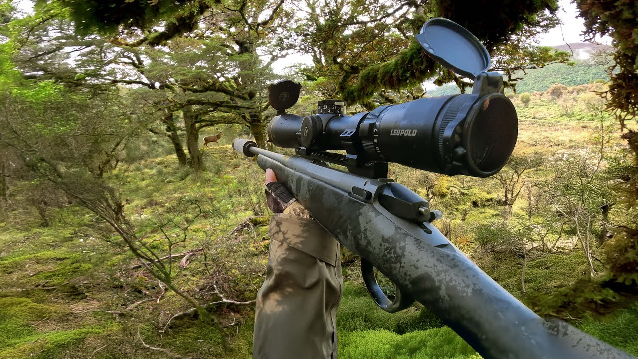 Hunting for a Giant Deer (8 Days Solo Wilderness)