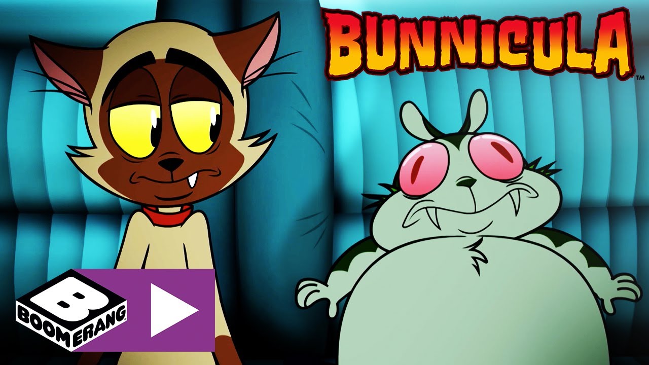 Bunnicula | Tierfestival | Cartoonito