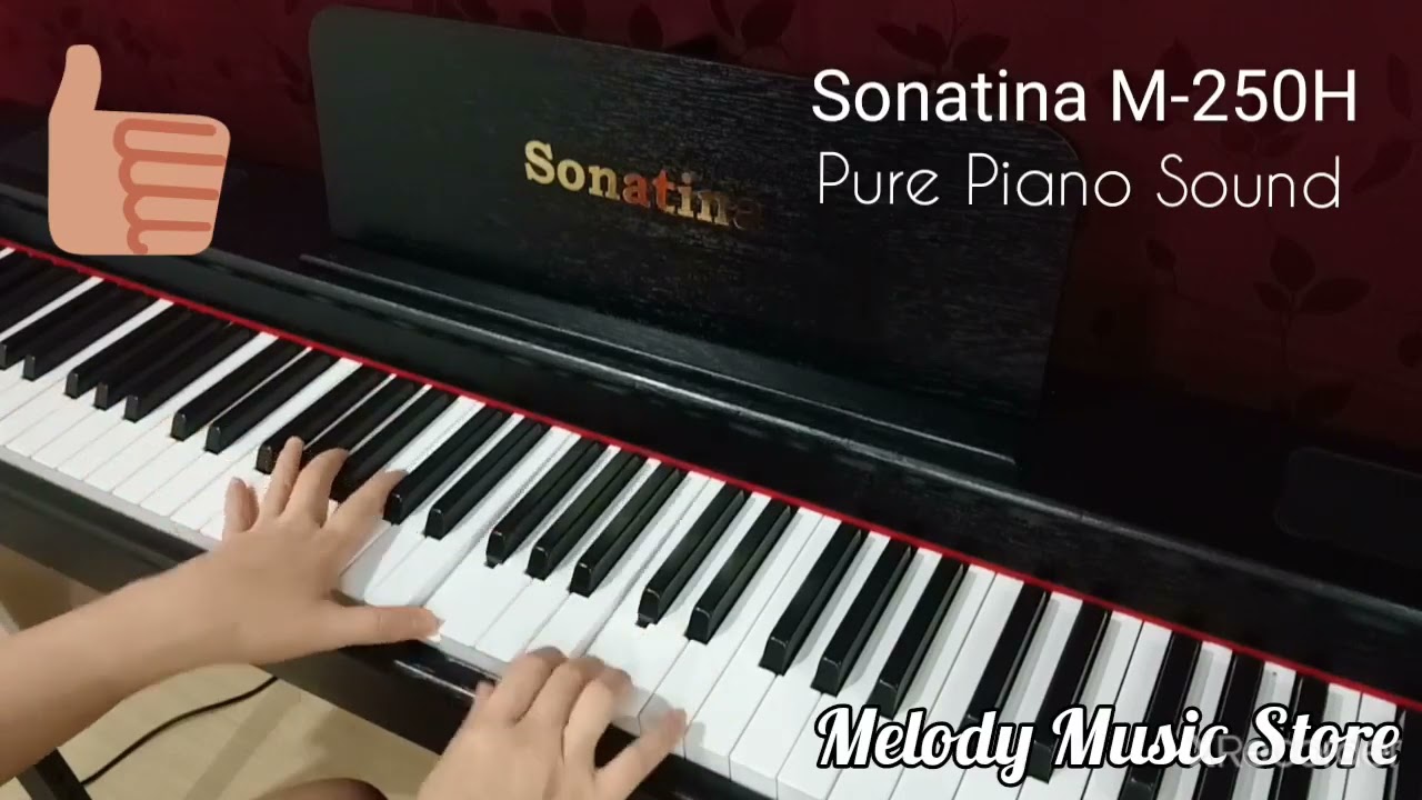 Sonatina M-250H Digital Piano Portable Smooth Hammer Action Weighted Key Exam Grade Piano Keyboard