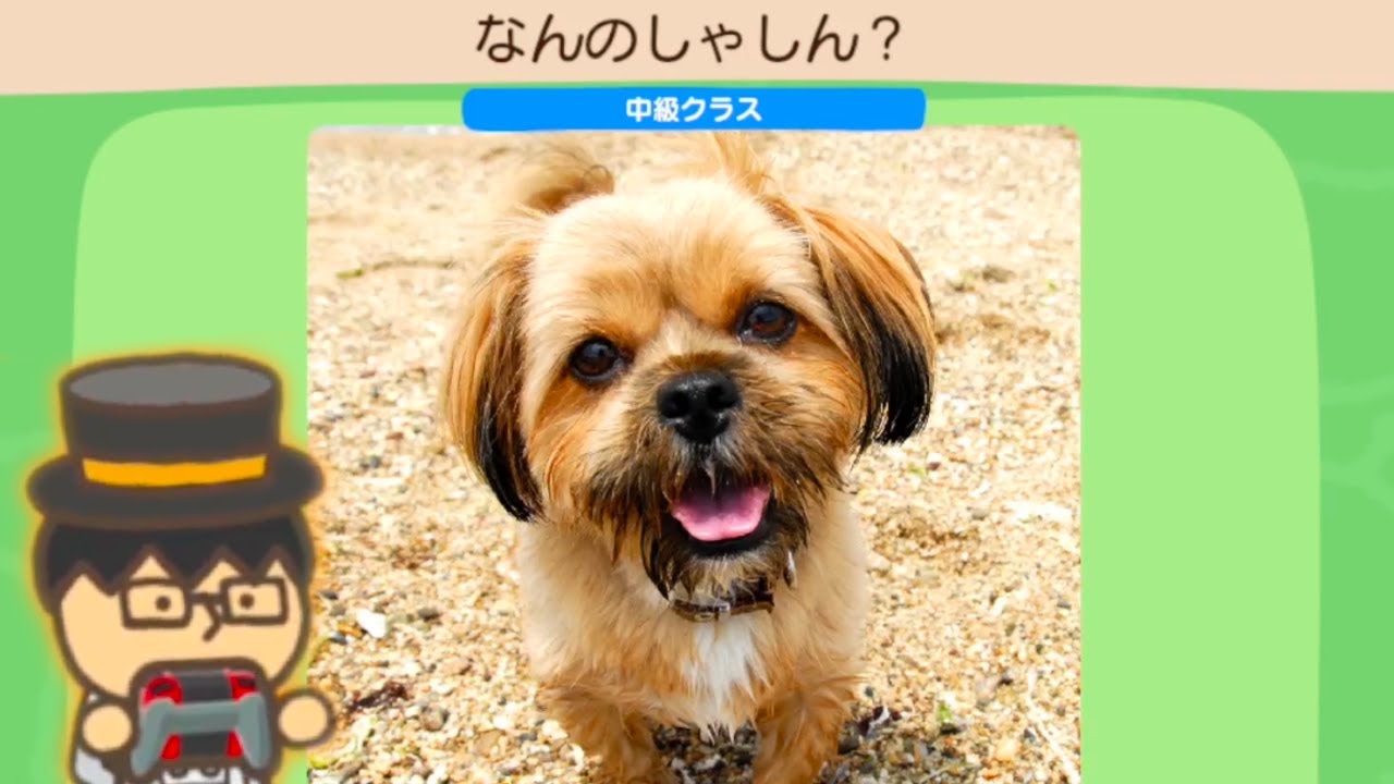 癒されながら頭をやわらかく出来る神ゲー｜やわらかあたま塾 いっしょにあたまのストレッチ
