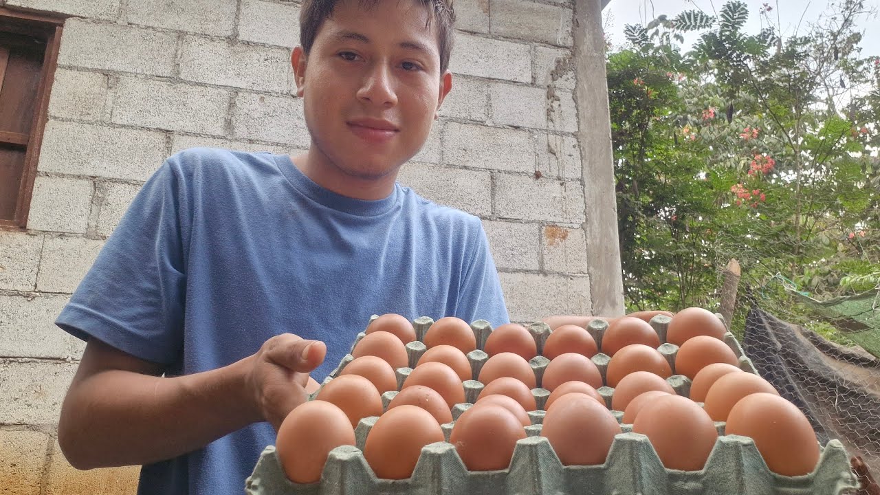 Me estoy llenando de Huevos 🥚😍