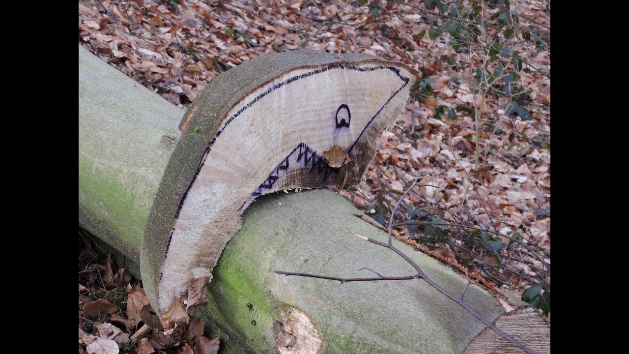 Verstecktes im Wald bei Xanten