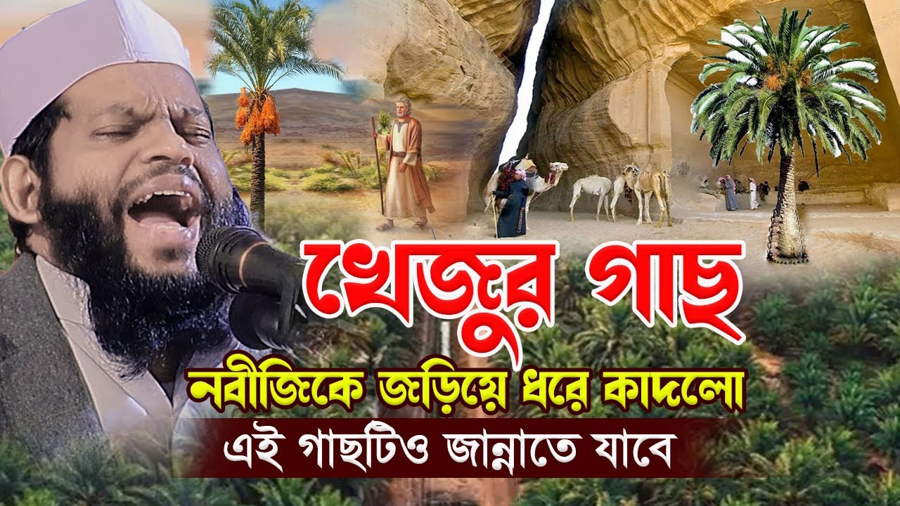খেজুর গাছ নবীজিকে জড়িয়ে ধরে কা*দলো,ক্বারী সাইদুল ইসলাম আসাদ,qari saidul islam asad,bangla waz