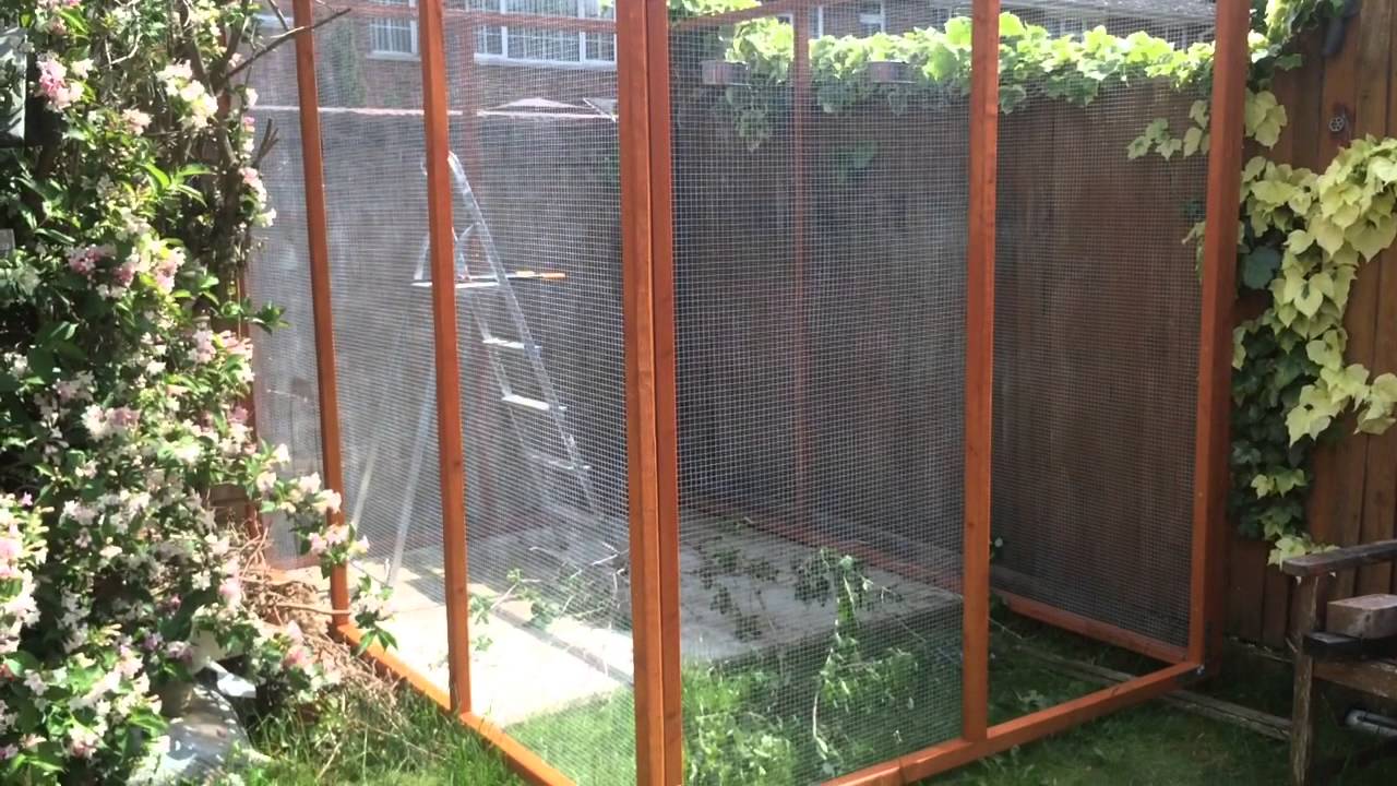 Building aviary