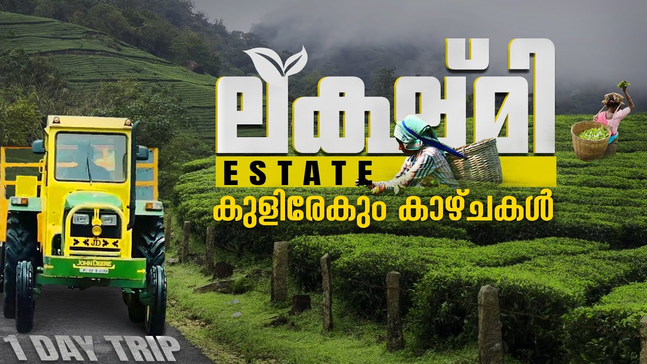 ലക്ഷ്മി എസ്റ്റേറ്റിലെ കുളിരേകും കാഴ്ച്ചകൾ | LETCHMI TEA ESTATE MANKULAM | MUNNAR | ONE DAY TRIP