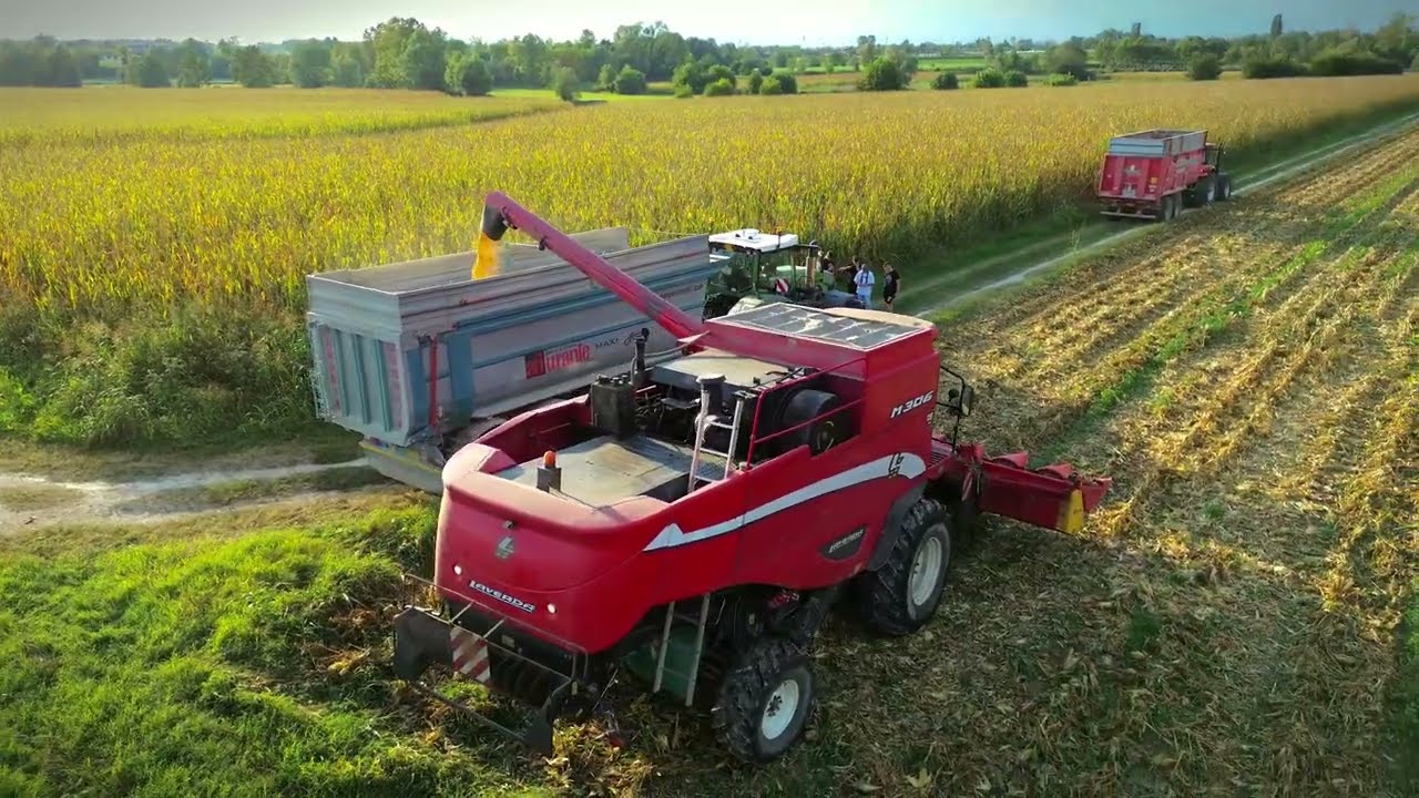 TREBBIATURA MAIS🌽 | LAVERDA M306 | FENDT 930 VARIO PROFI+ | TURCHET SNC | DJI MINI 3 | GOPRO HERO 10