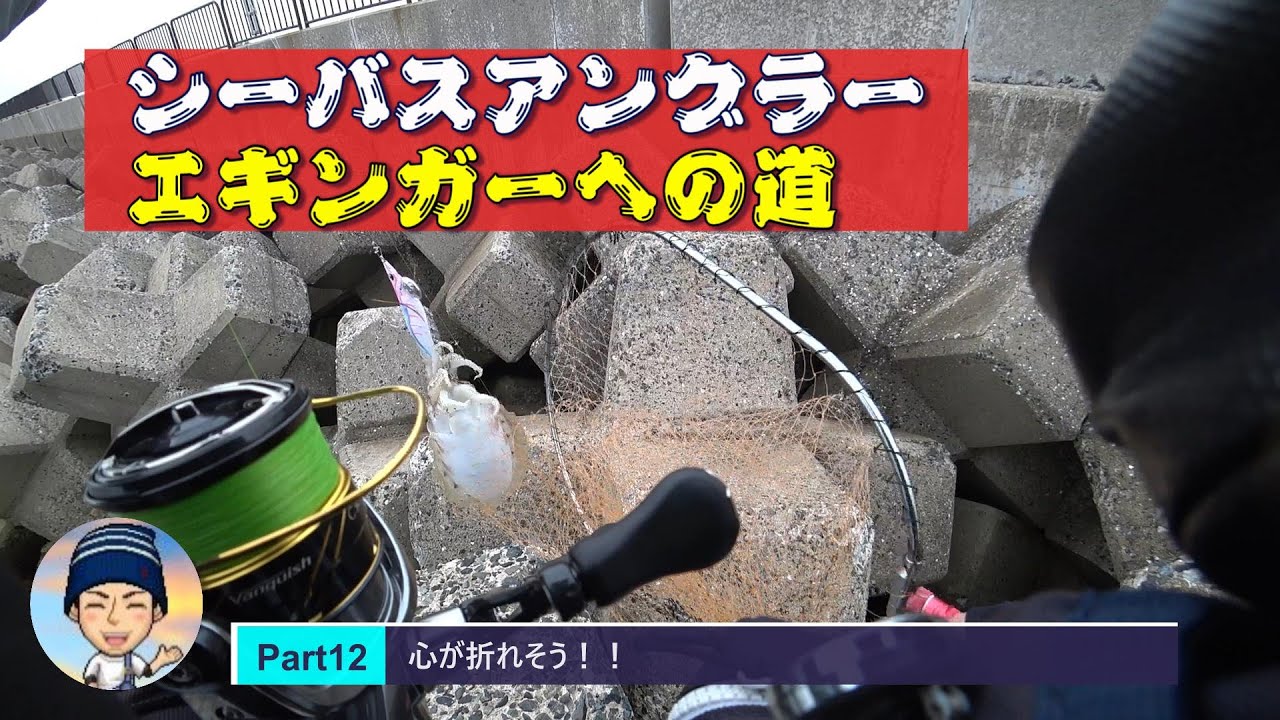 【エギング12回目いきます！！】 エギング 波止釣行  @323 #釣具 #fishing  #釣り