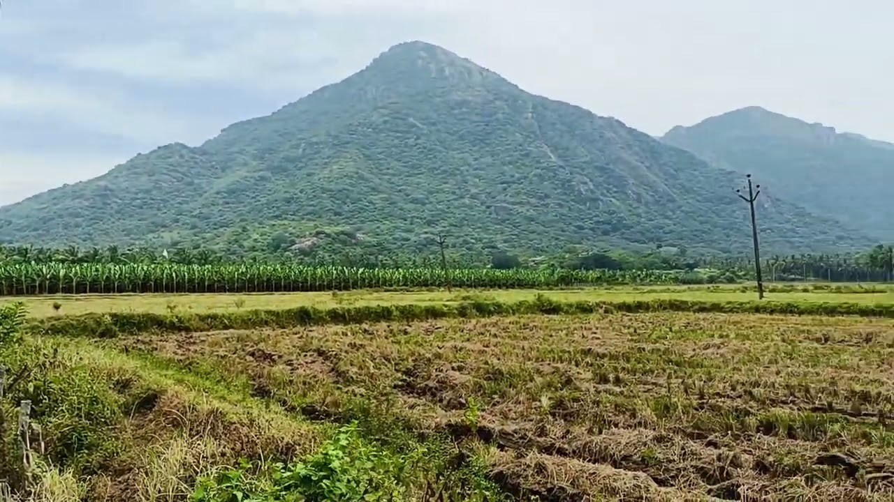 NAGERCOIL : THITTUVILAI - TOTAL : 50 CENT FARM LAND SALES CALL : 8825486622 NGL JUST : 10 KM 🙋‍♂️
