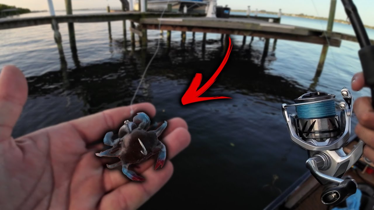 Fishing the Savage Gear Blue Crab! (Everything Eats It!)