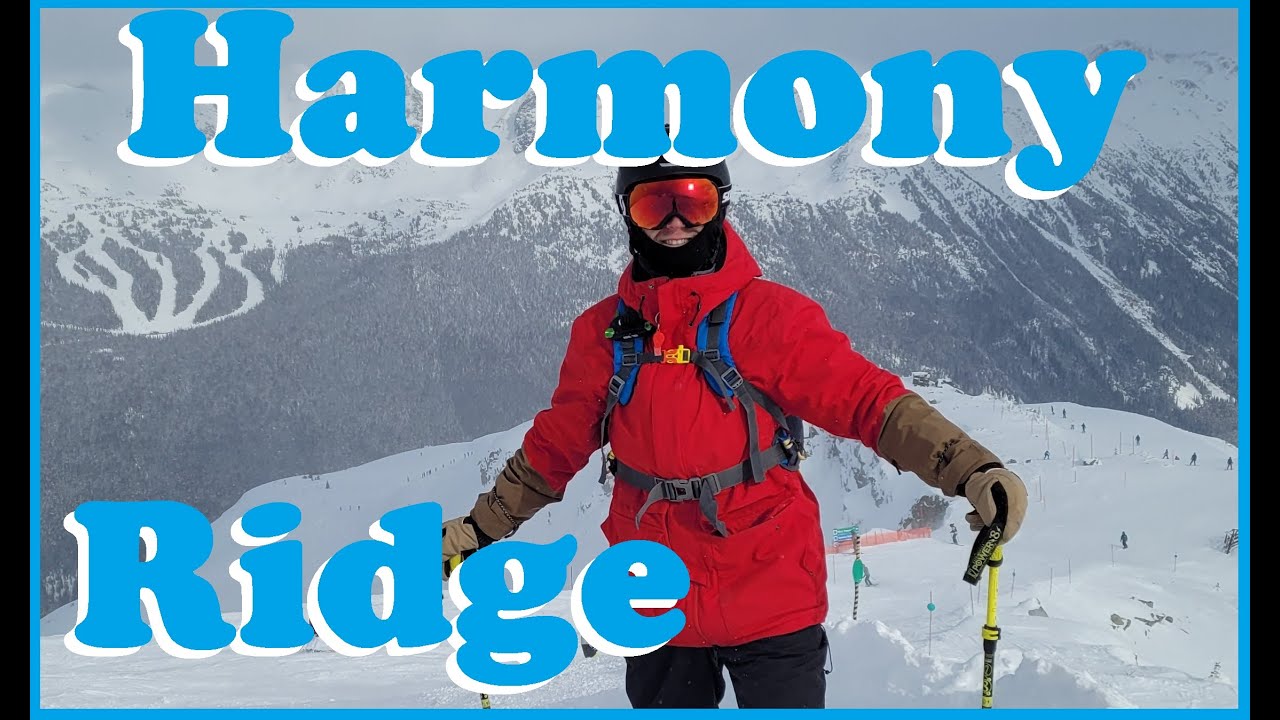 🟦 Harmony Ridge 🟦 Whistler Blackcomb Blue Square Blue Run #skiing